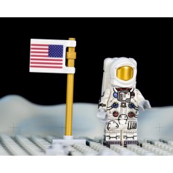 Lunar Astronaut