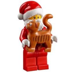 LEGO ® Bezoek van de Kerstman