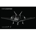 F-117® (A) Nighthawk® - Stealth Attack Aircraft