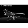 P-40 Warhawk – 332nd Fighter Group