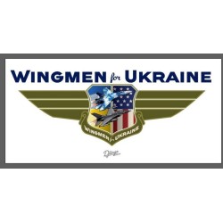 Ghost of Kyiv - Ukrainian Pilot