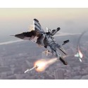 MiG-29 Fulcrum 'Ghost of Kyiv'