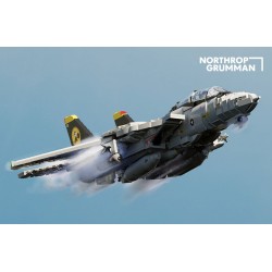 F-14D Tomcat® – Supersonic Fighter Aircraft