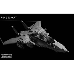 F-14D Tomcat® – Supersonic Fighter Aircraft