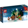 LEGO® Voortuin van de Kerstman 40484