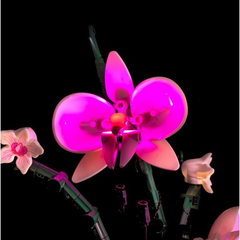 LEGO Orchid  Paper Source