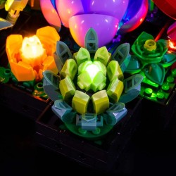 Light My Bricks - Lighting set suitable for LEGO Succulents 10309