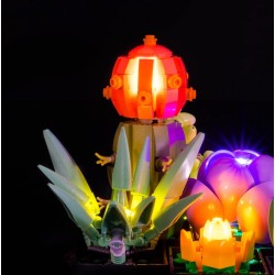 Light My Bricks - Lighting set suitable for LEGO Succulents 10309