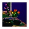 LMB 2.0 - Lighting set suitable for LEGO® 10359 Fountain Garden