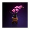 LMB 2.0 - Lighting set suitable for LEGO® Mini Orchid 10343