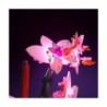LMB 2.0 - Lighting set suitable for LEGO® Mini Orchid 10343