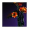 LMB 2.0 - Lighting set suitable for LEGO® 10368 Chrysanthemum
