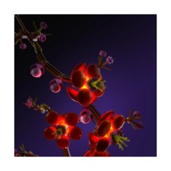 LMB 2.0 - Lighting set suitable for LEGO® 10369 Blossom