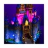 Disney_Castle