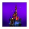 Disney_Castle