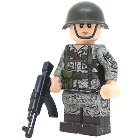 Cold War Polish Soldier