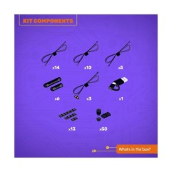 Beauty_and_the_Beast