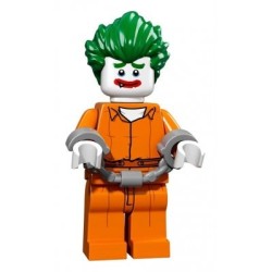 Arkham Asylum Joker