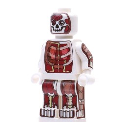 Dr. Anatomini