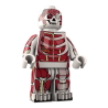 Dr. Anatomini