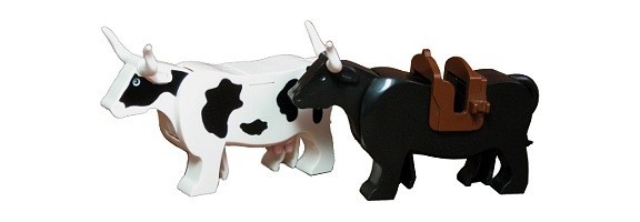 Cows